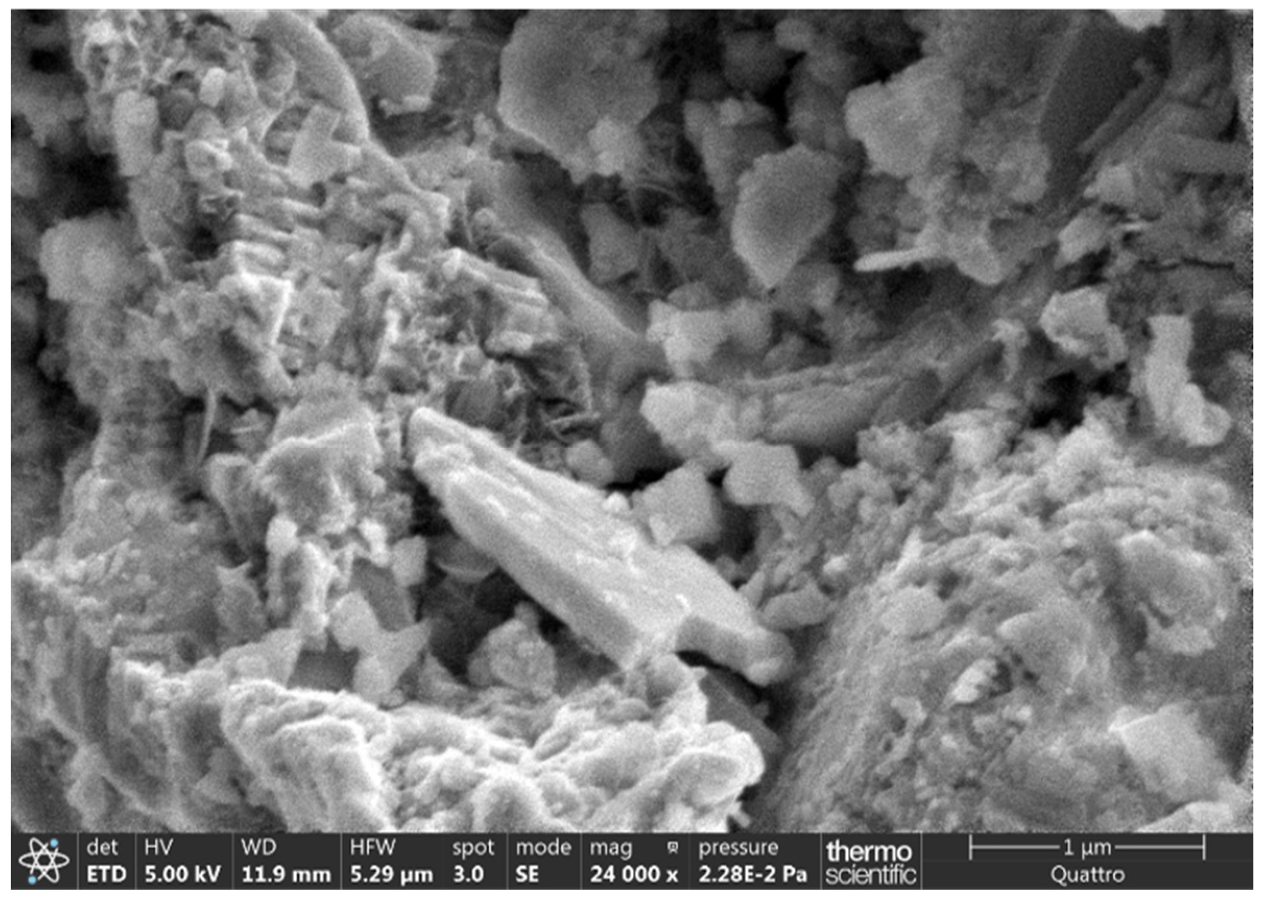 Sustainability 17 01240 g002