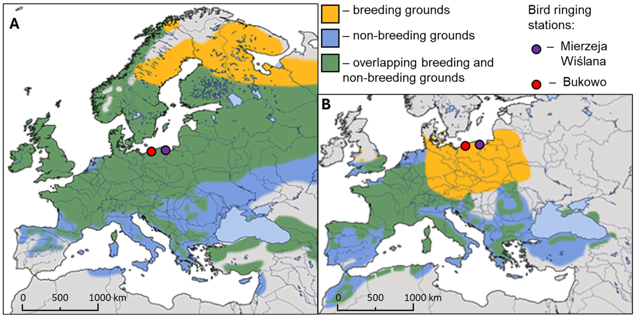 Sustainability 17 01243 g001
