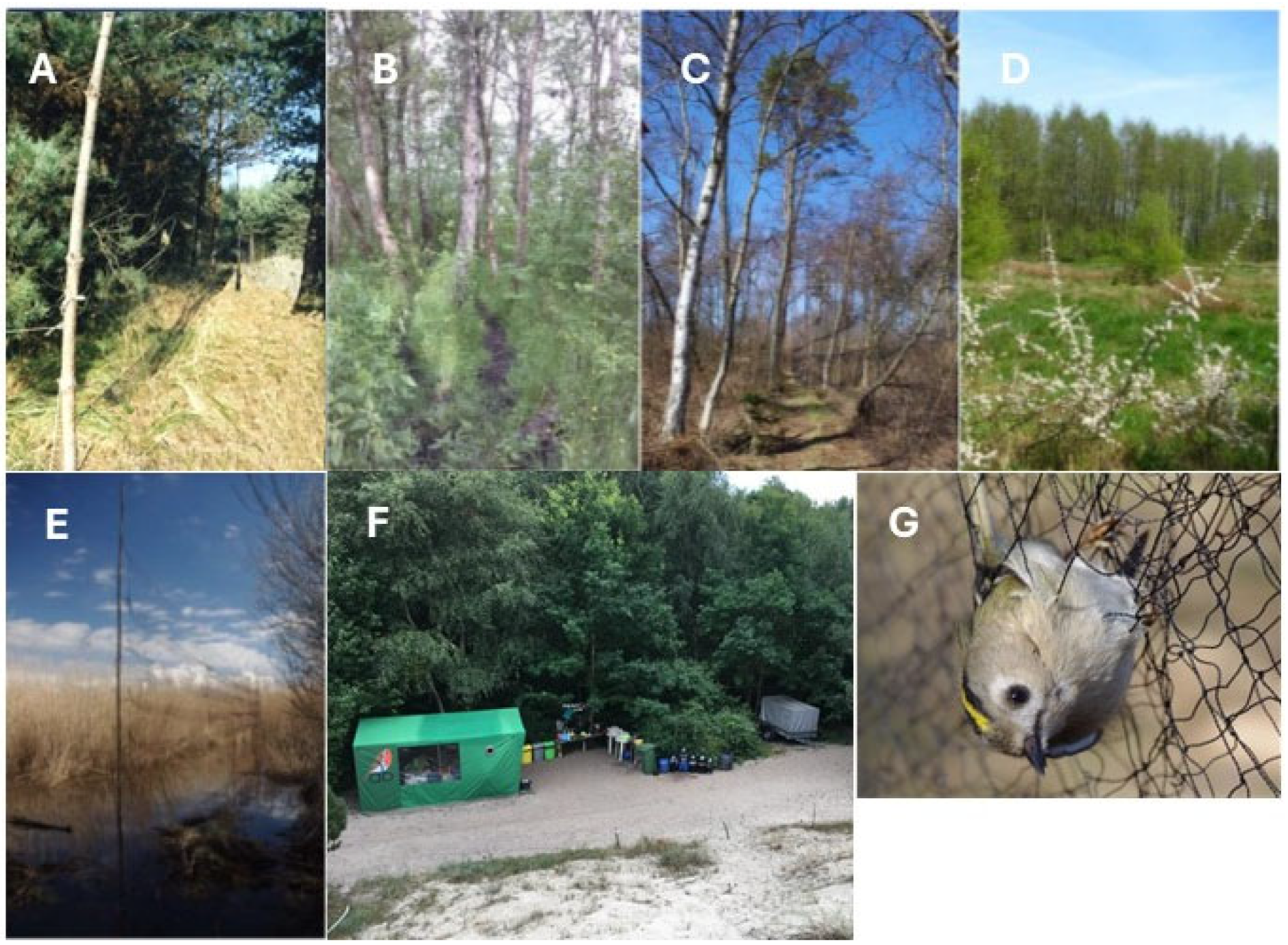 Sustainability 17 01243 g0a2