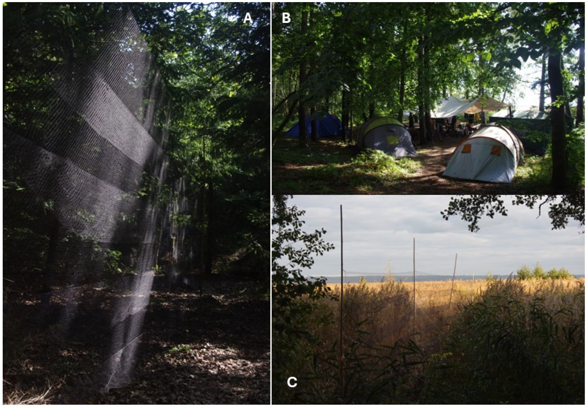 Sustainability 17 01243 g0a3