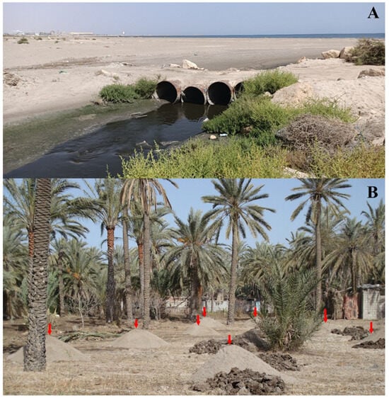 Sustainability 17 01283 g0a1