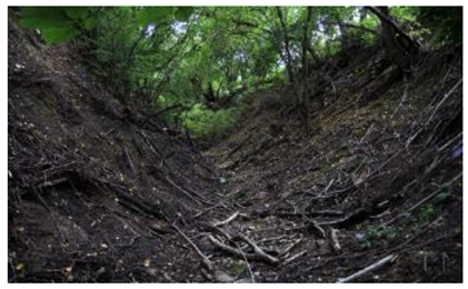 Sustainability 17 01349 i001