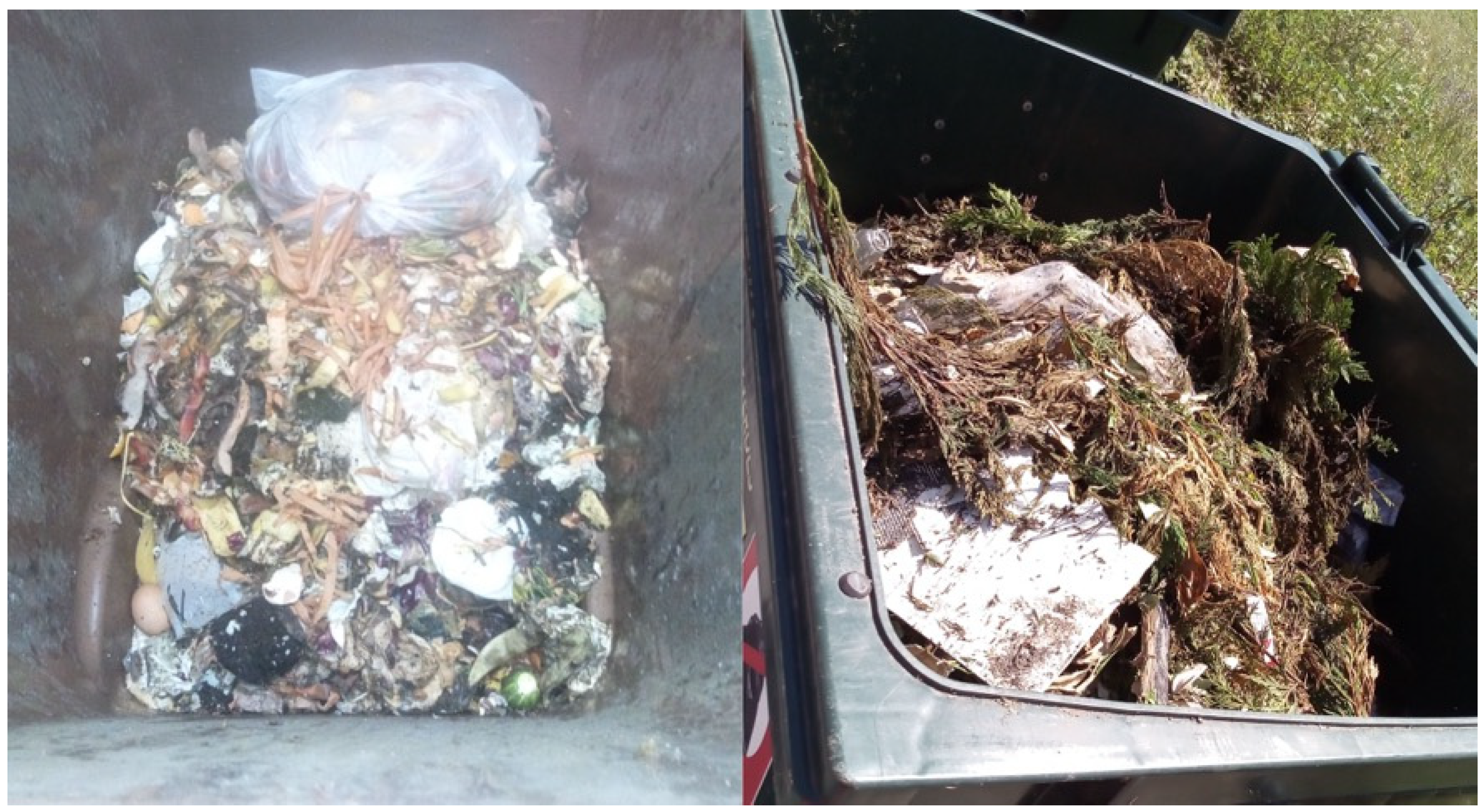 Sustainability 17 01405 g004