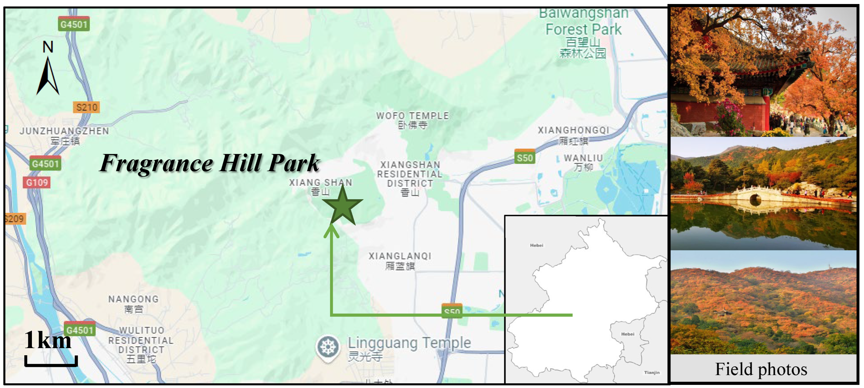 Sustainability 17 01725 g001
