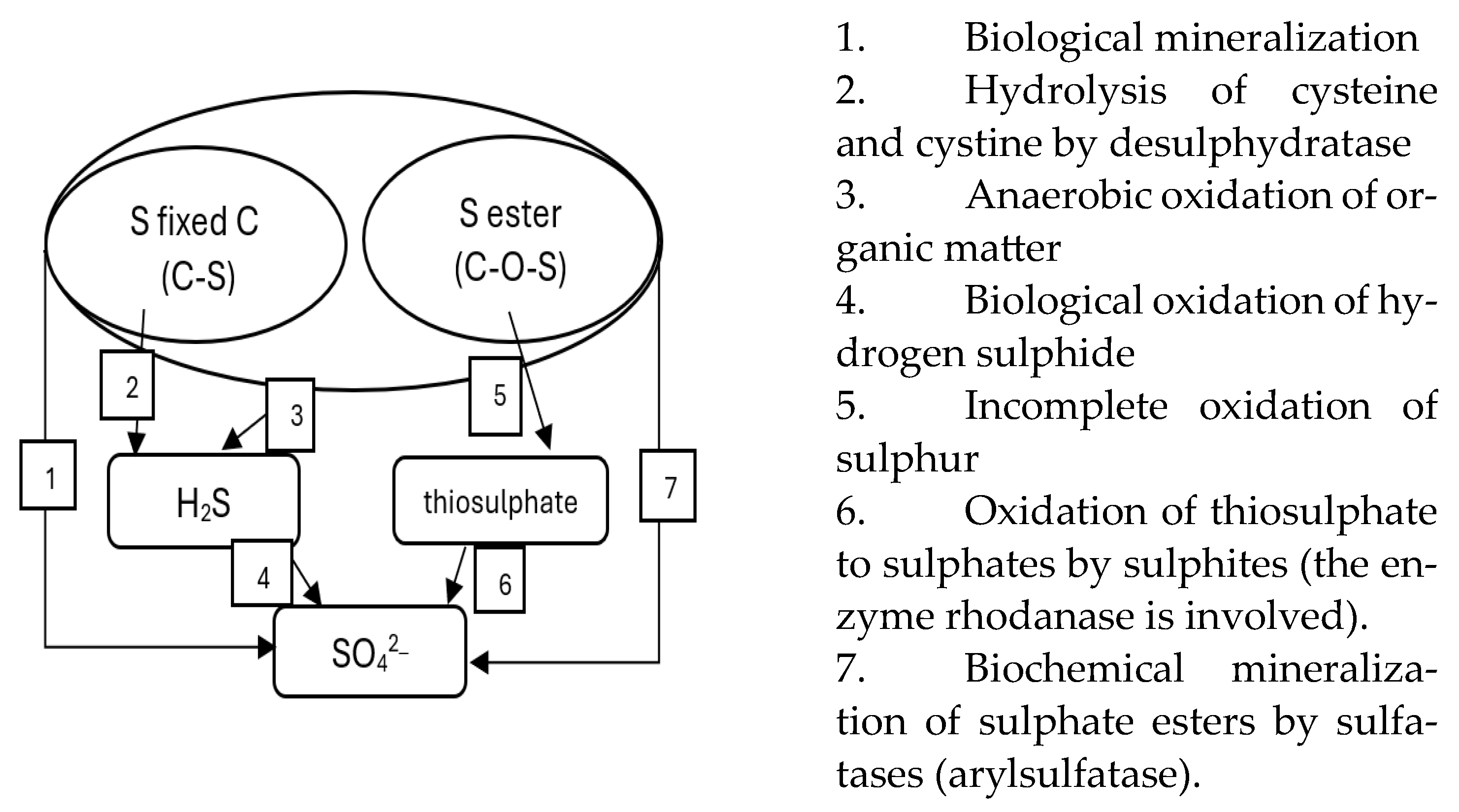 Sustainability 17 01776 g001