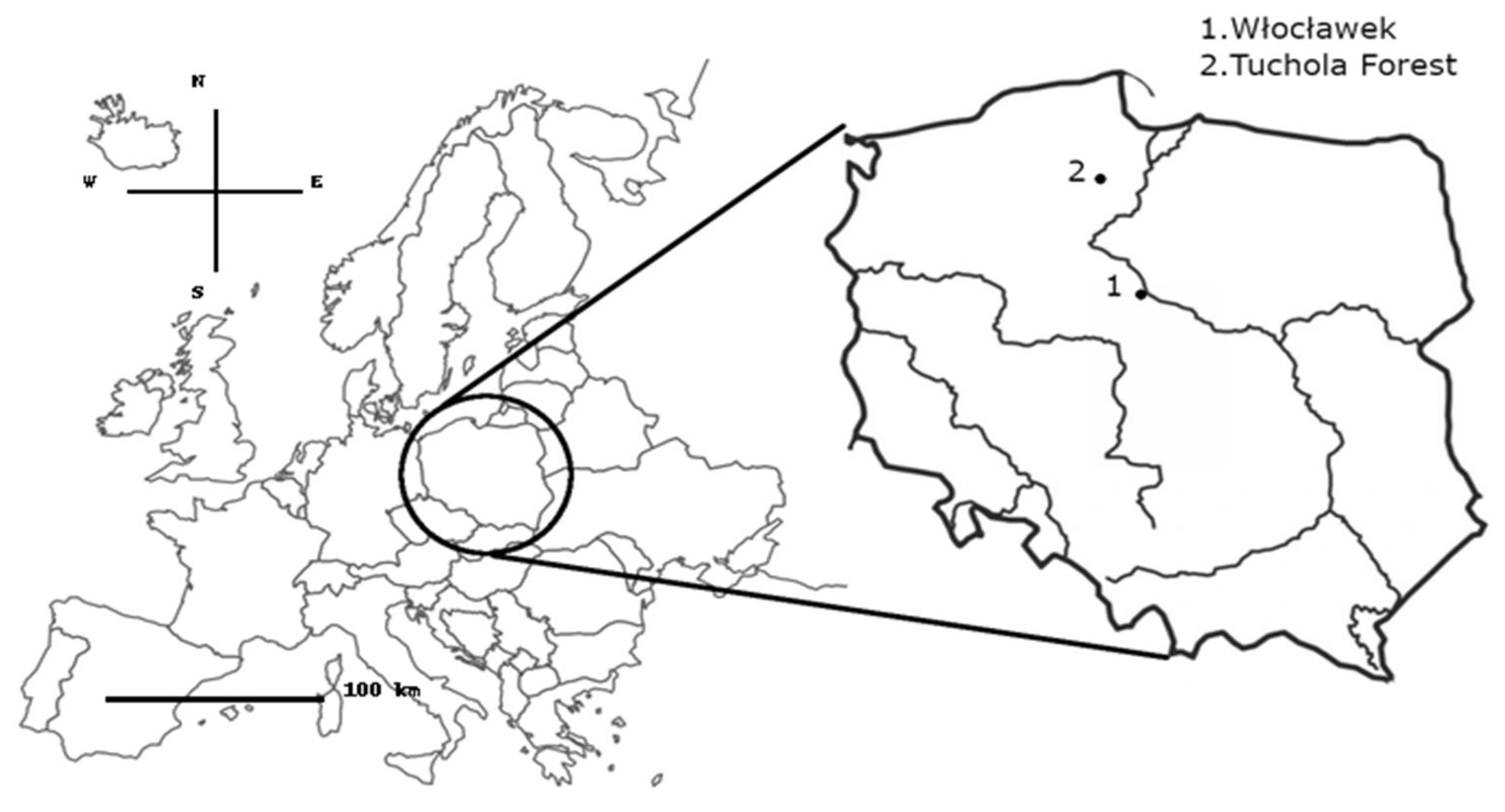 Sustainability 17 01776 g002