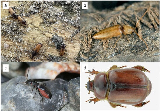 Sustainability 17 01922 g003