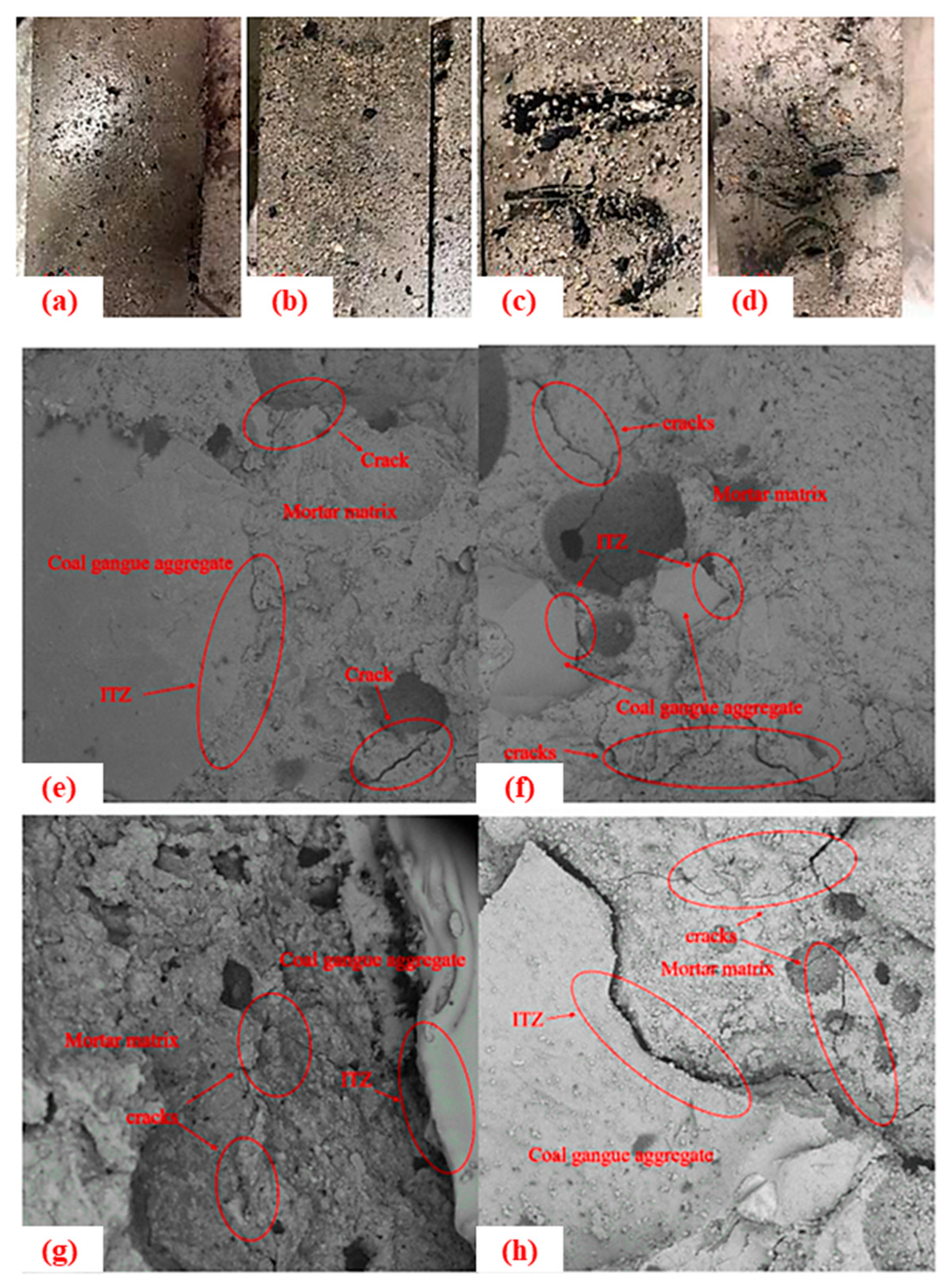 Sustainability 17 02007 g022