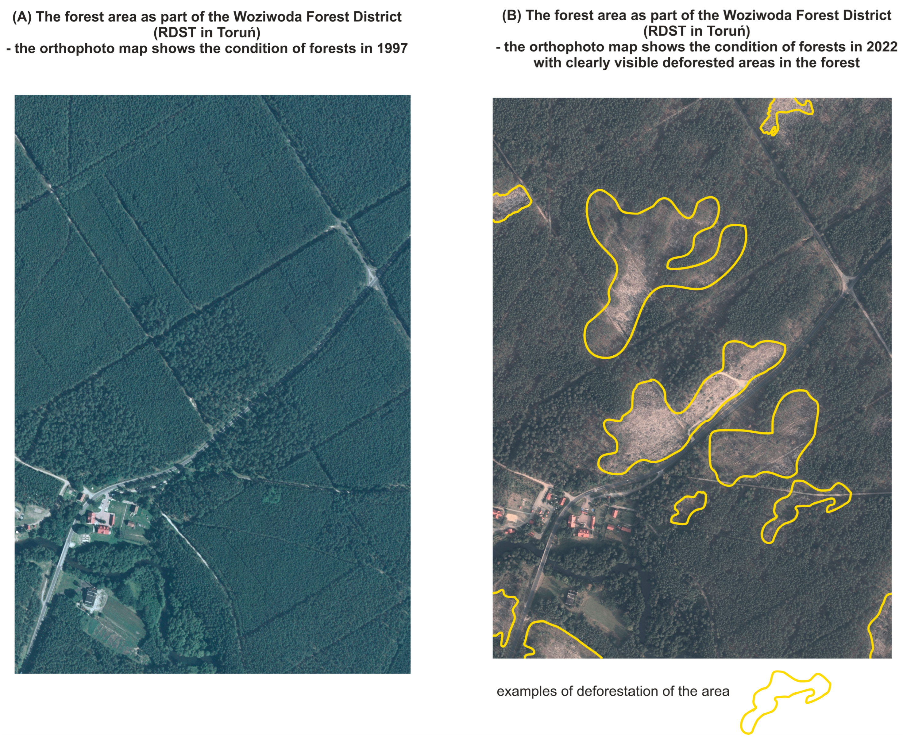Sustainability 17 02060 g009