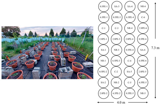 Sustainability 17 02071 g001