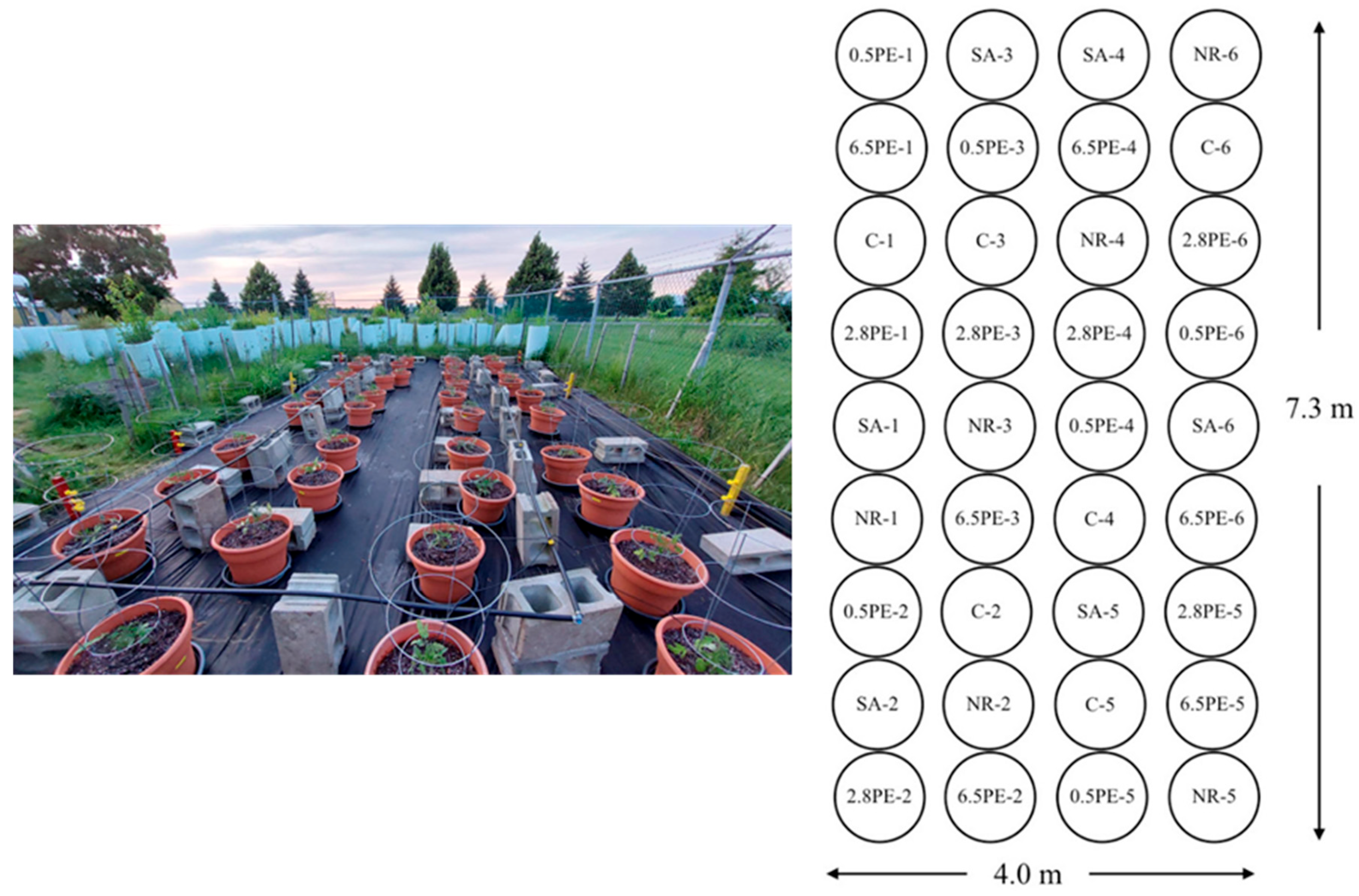 Sustainability 17 02071 g001