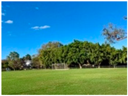 Sustainability 17 02138 i019