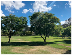 Sustainability 17 02138 i021