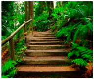 Sustainability 17 02138 i027