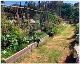 Sustainability 17 02138 i043