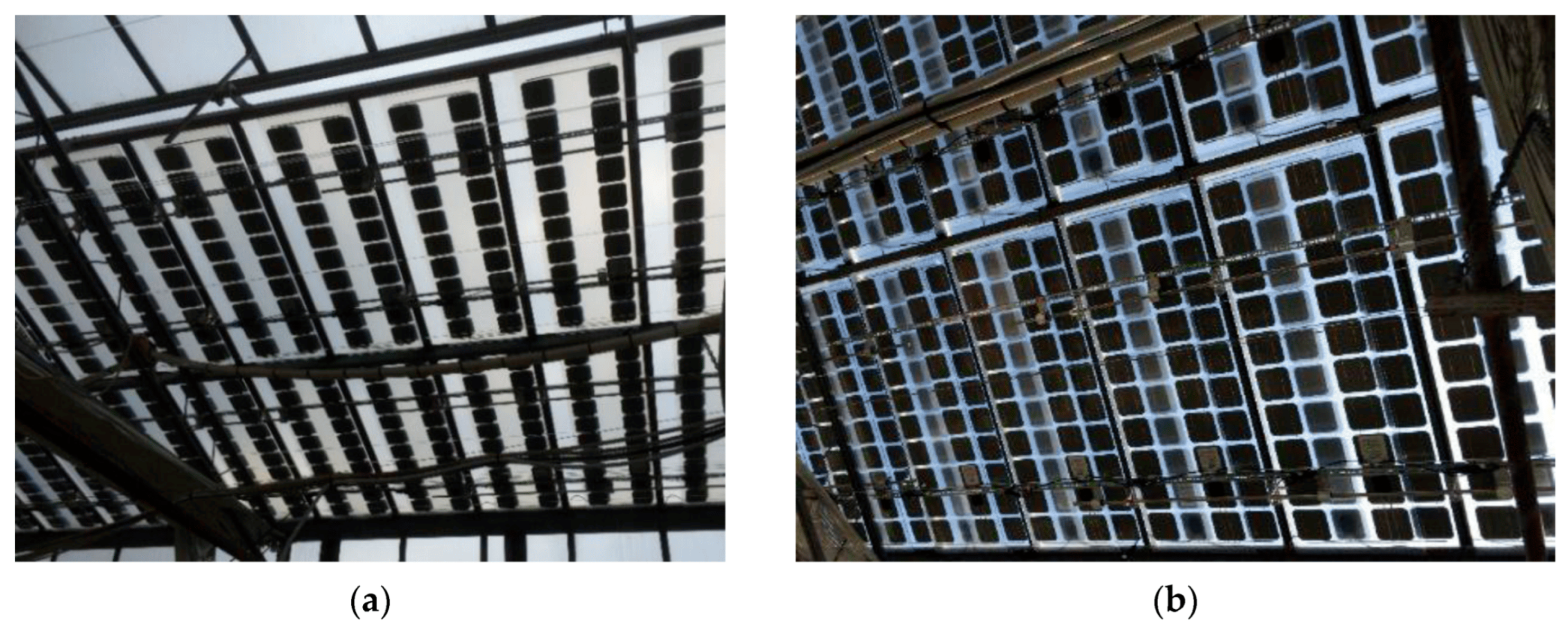 Sustainability 17 02206 g005