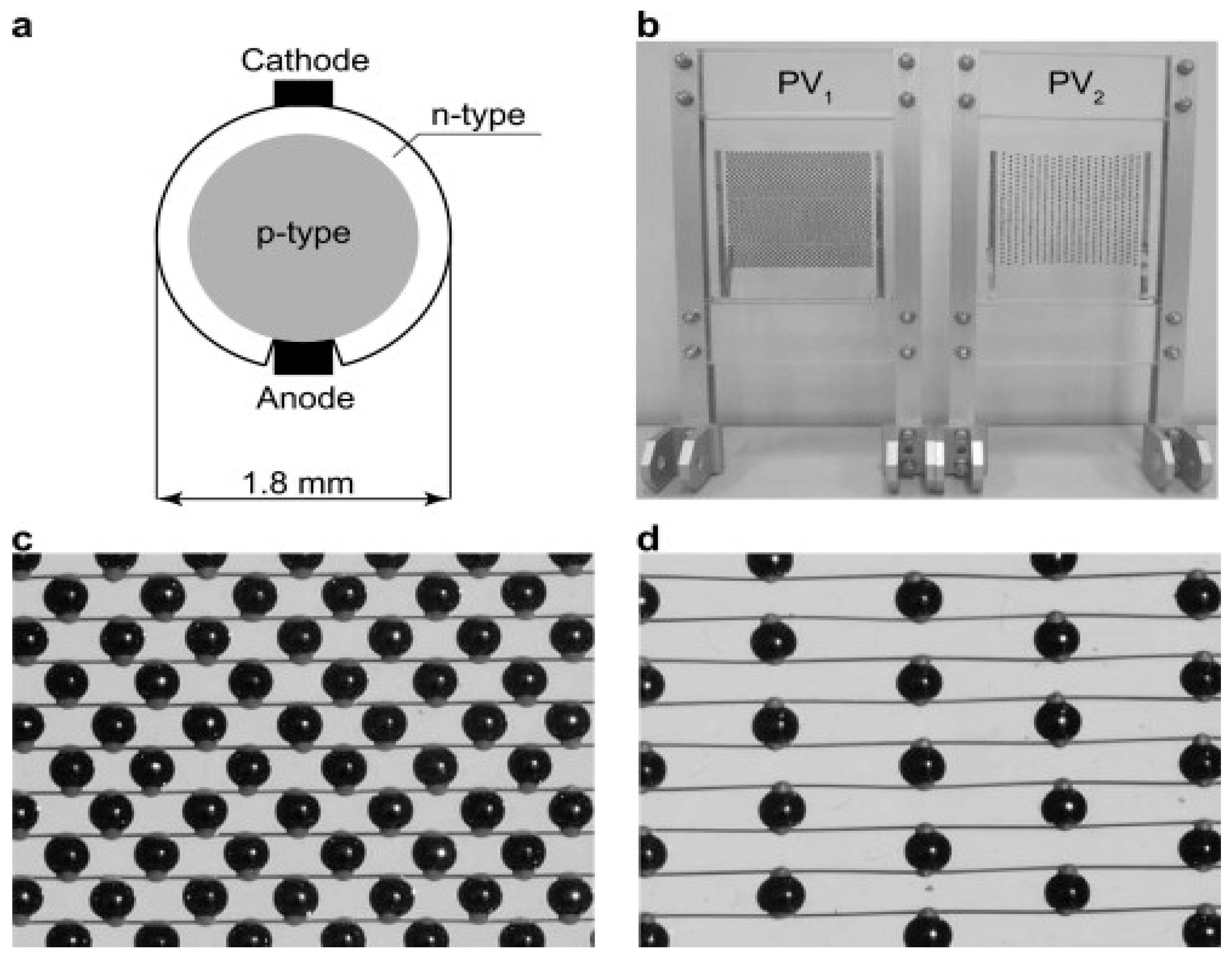Sustainability 17 02206 g008