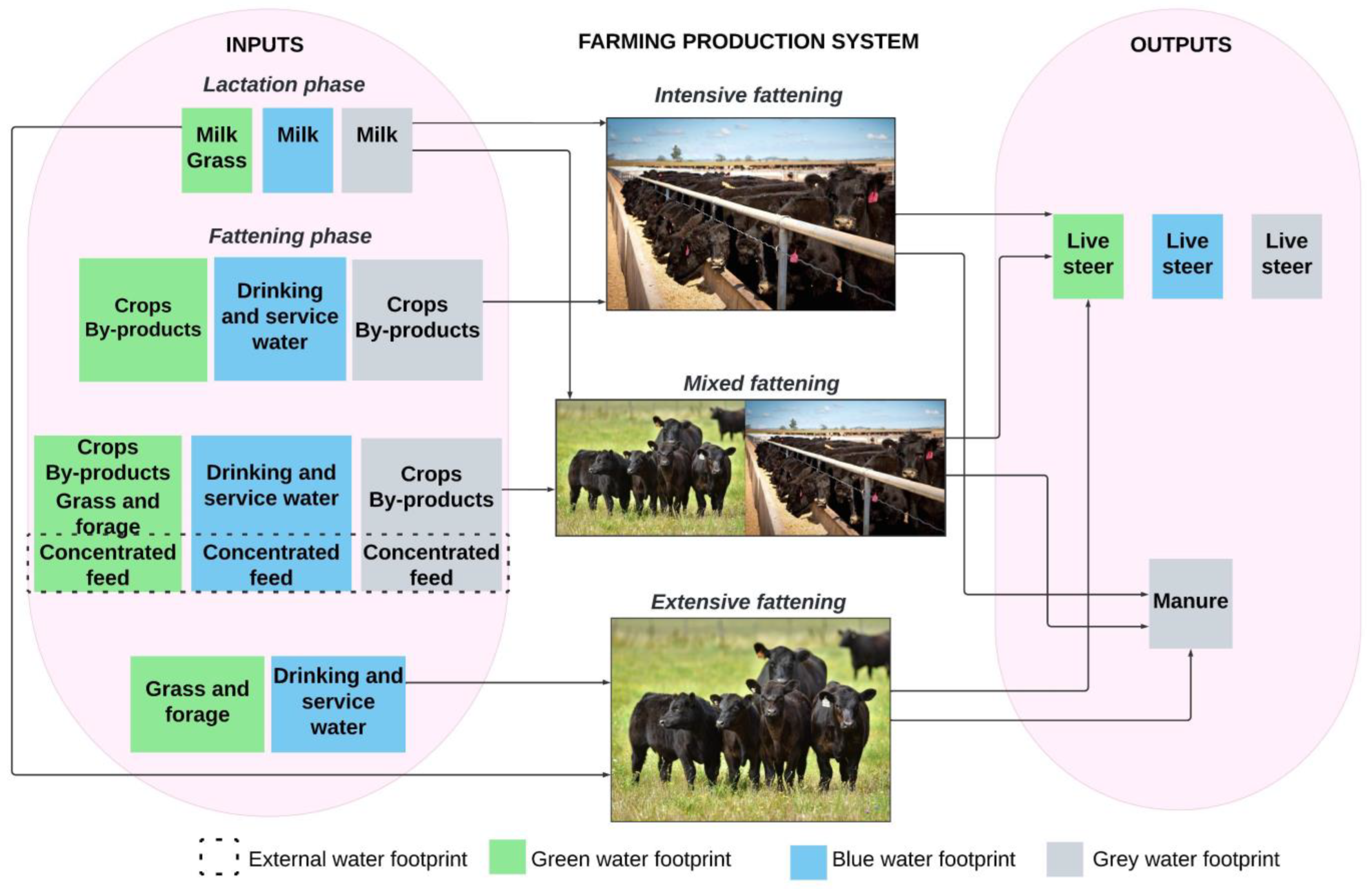 Sustainability 17 02251 g002