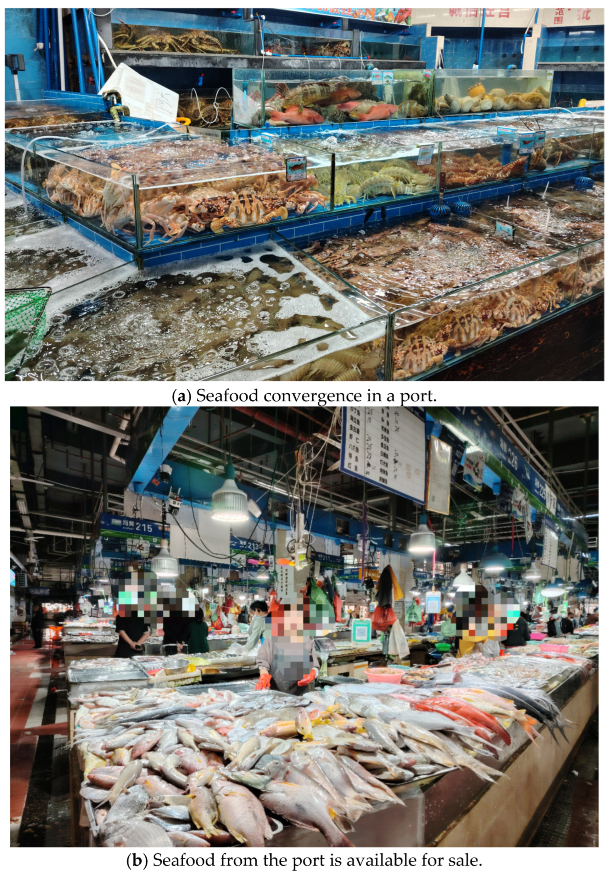 Sustainability 17 02311 g001