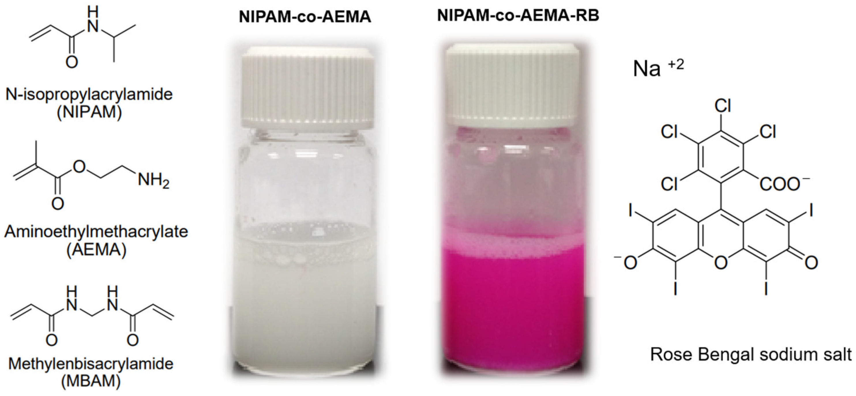 Sustainability 17 02331 g001