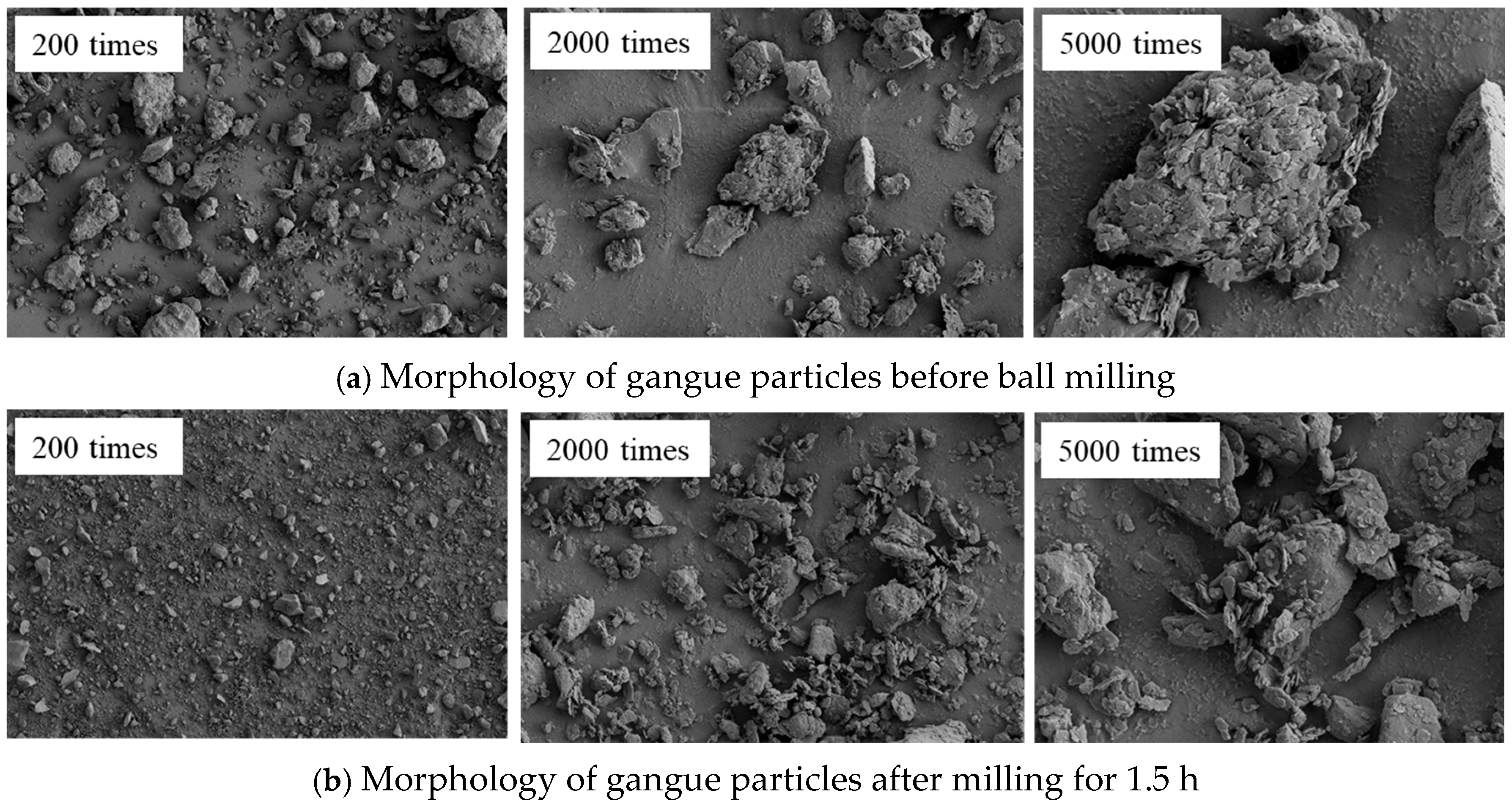 Sustainability 17 02364 g009