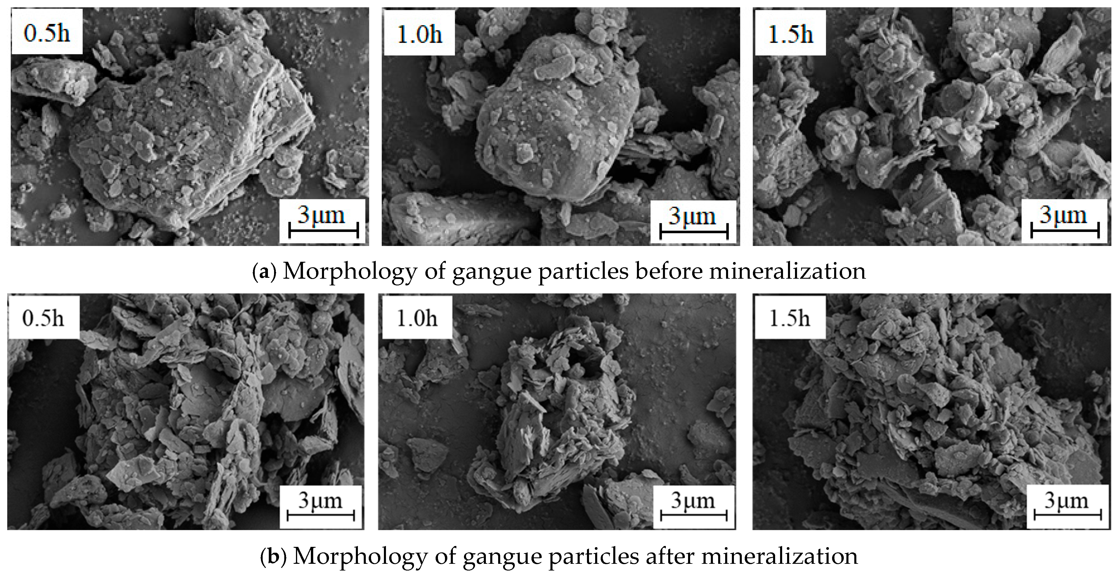 Sustainability 17 02364 g011