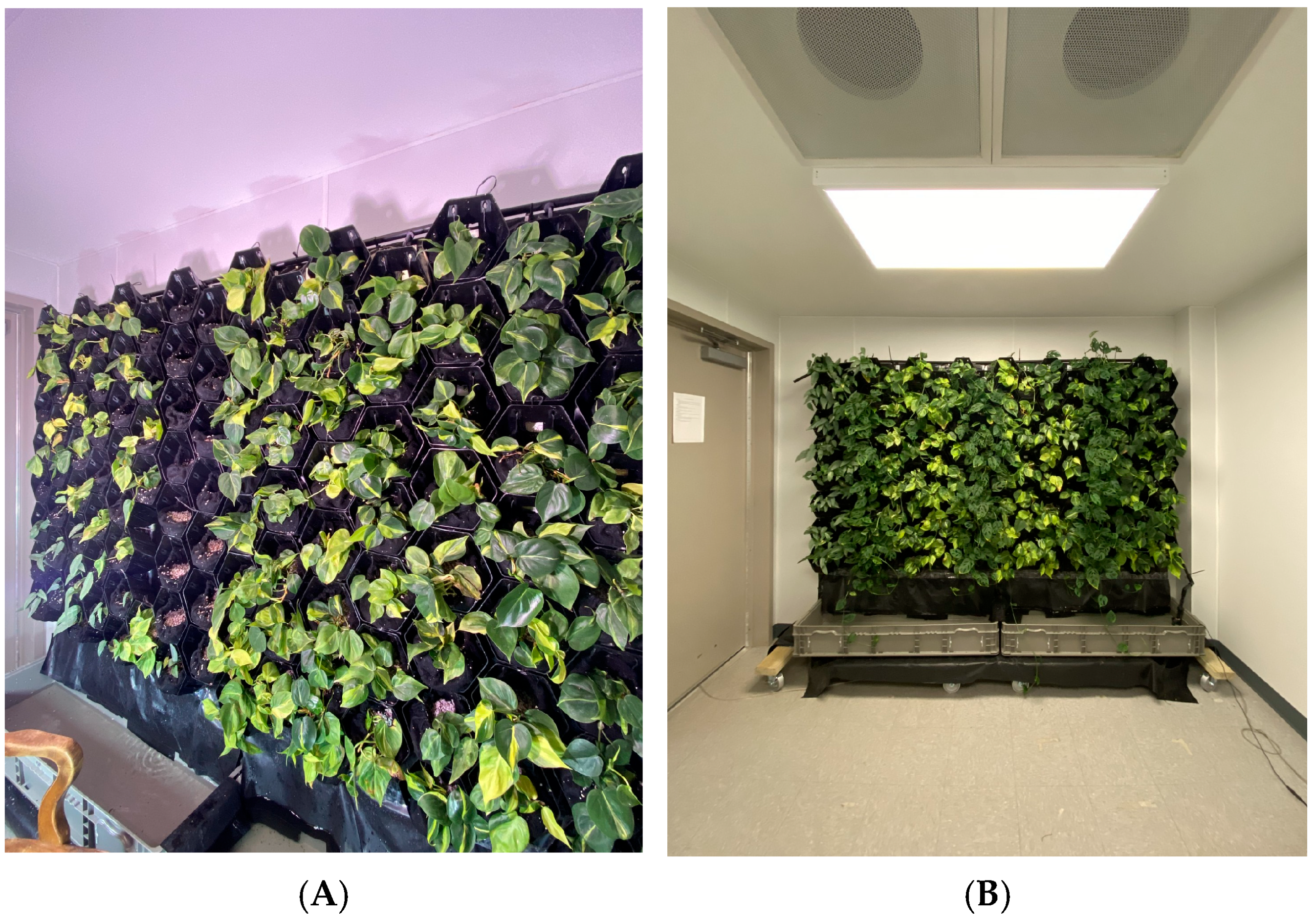 Sustainability 17 02421 g004