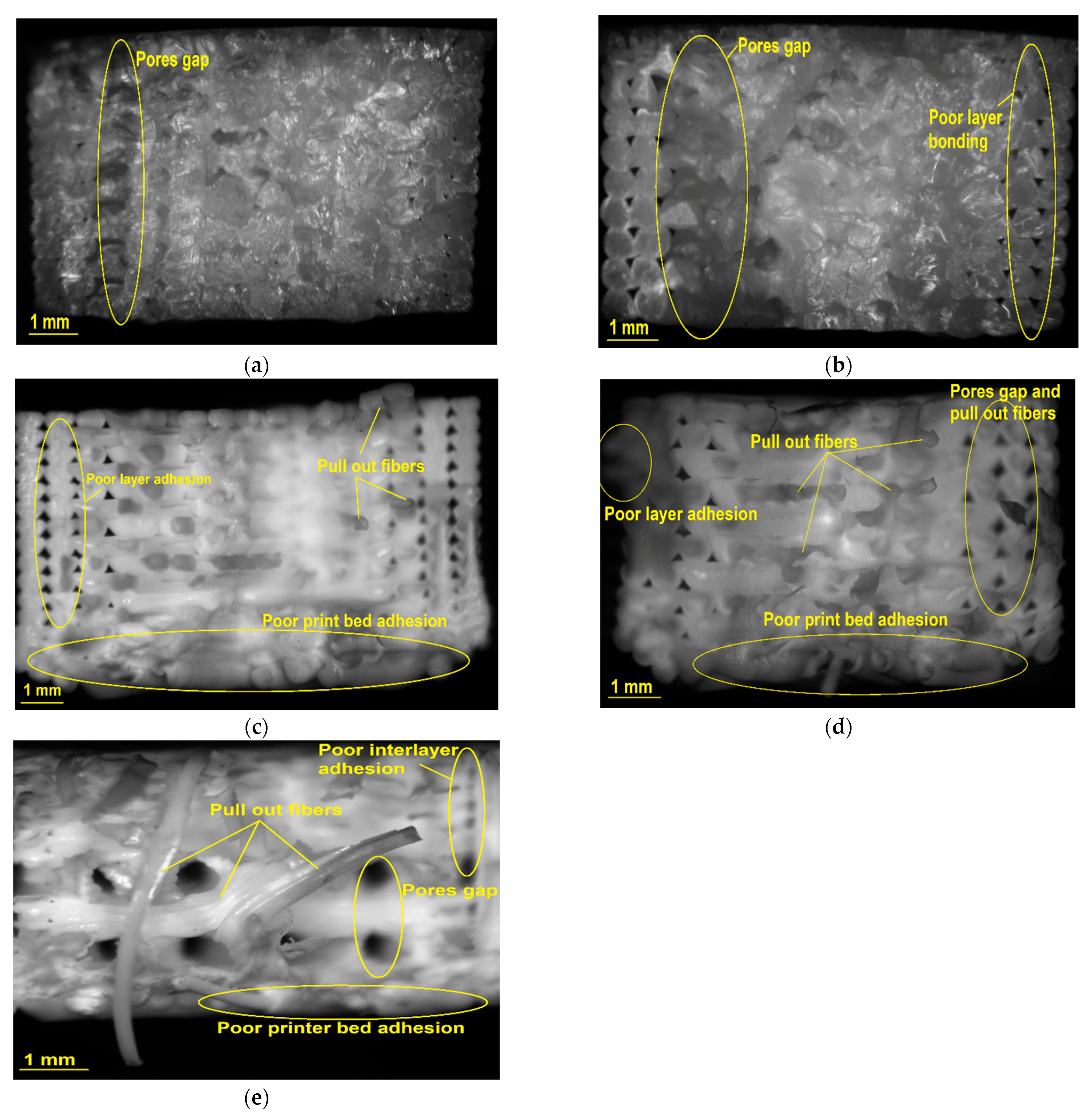 Sustainability 17 02484 g011