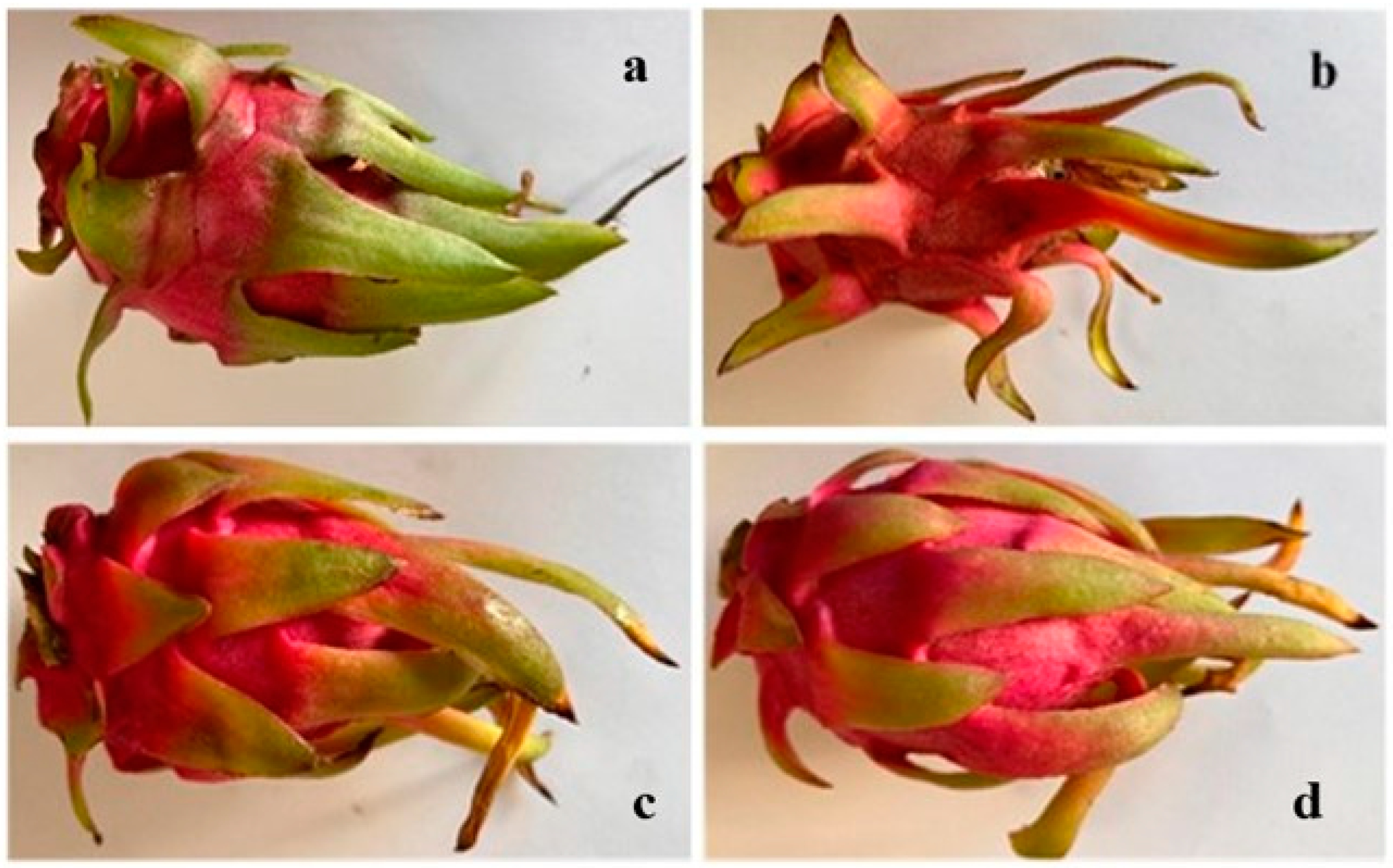 Sustainability 17 02629 g001