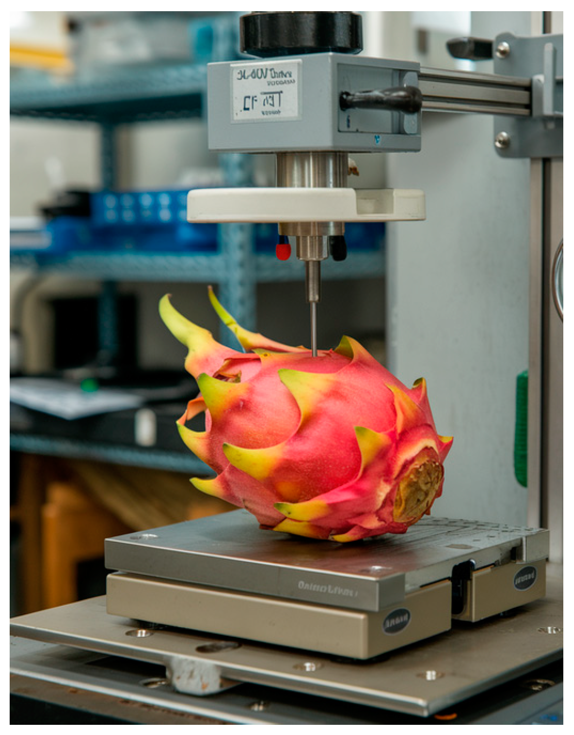 Sustainability 17 02629 g004