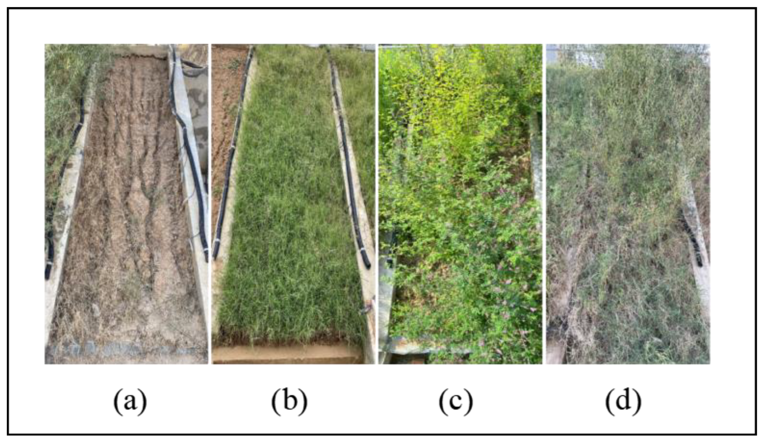 Sustainability 17 02650 g003