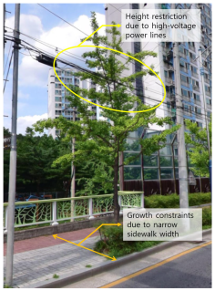 Sustainability 17 02943 i001