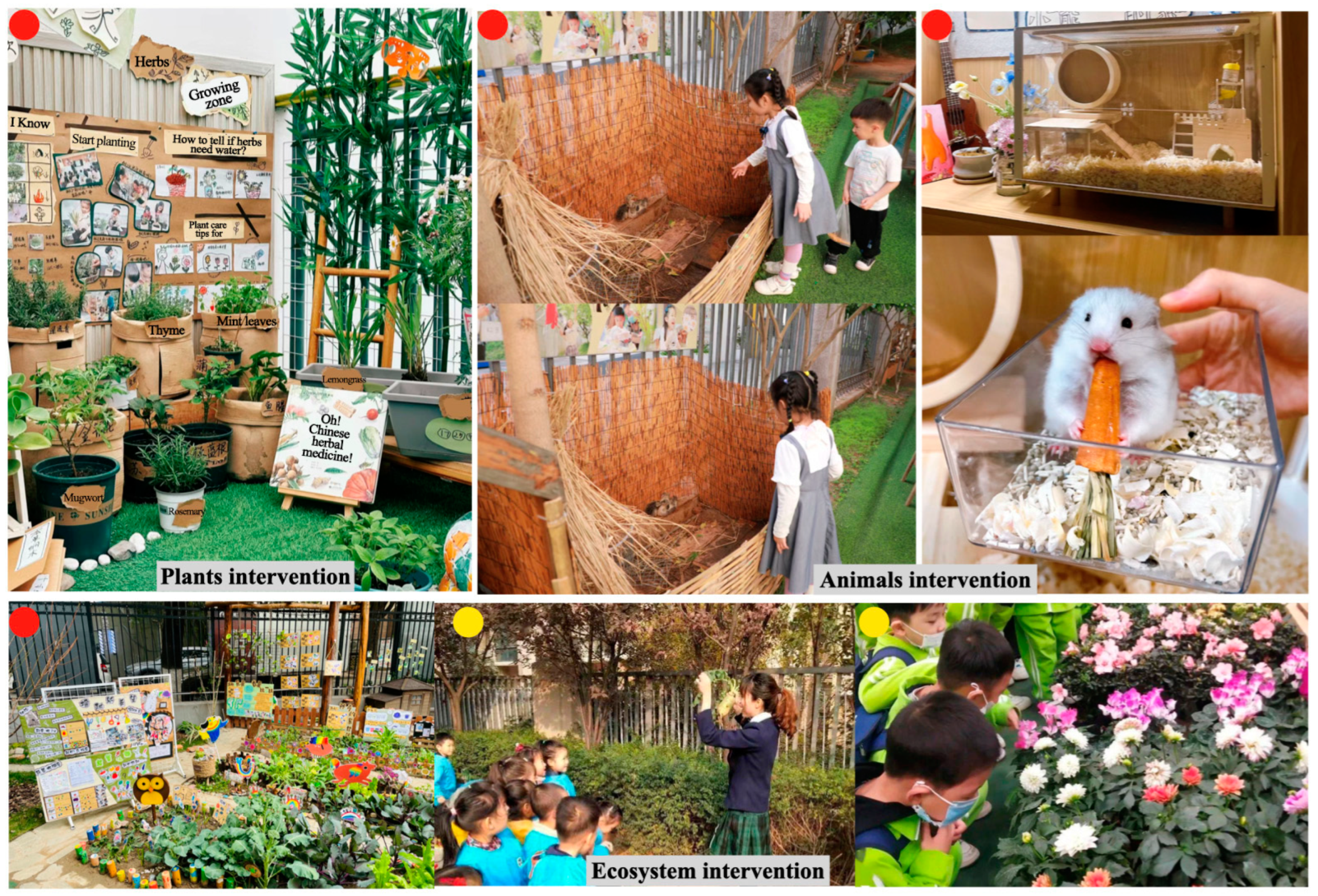 Sustainability 17 03077 g005