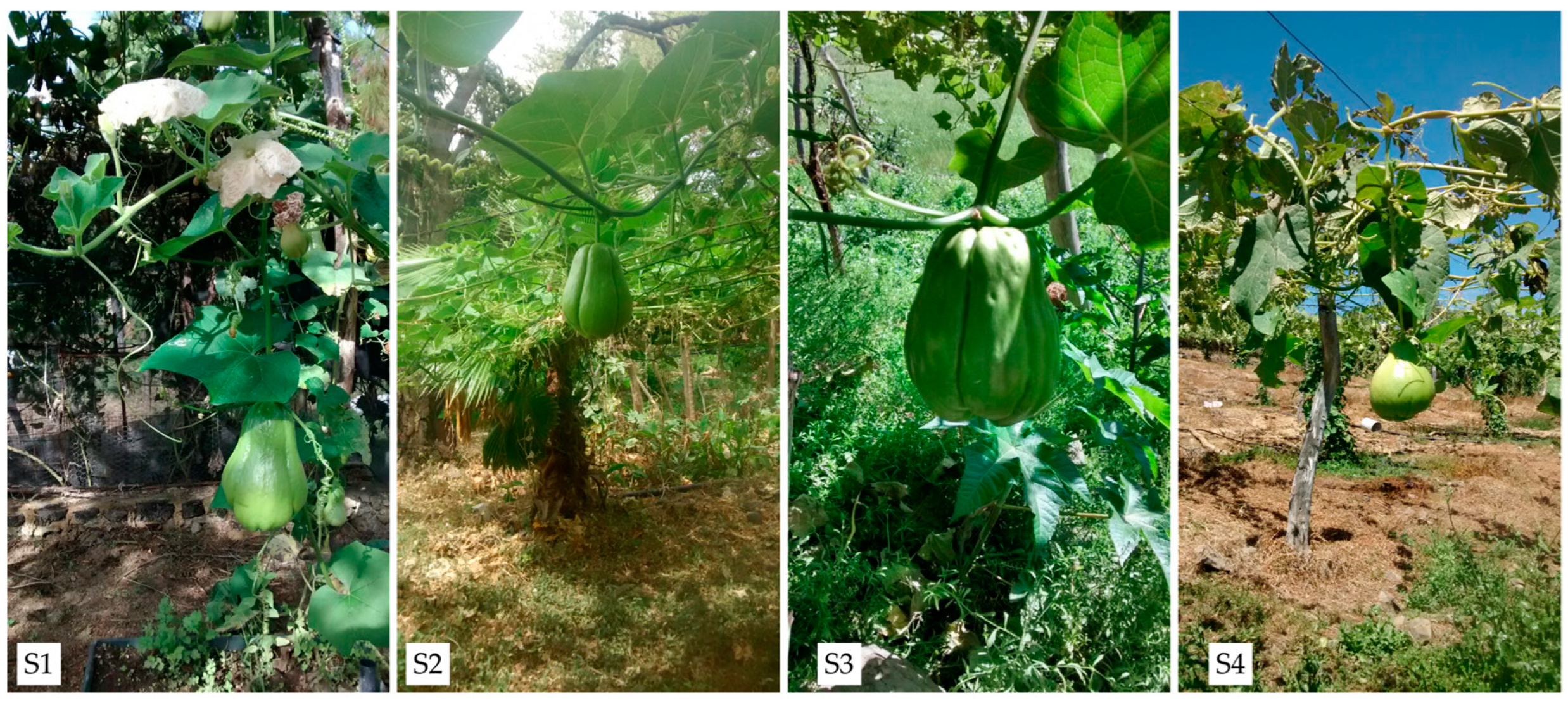 Sustainability 17 03120 g002