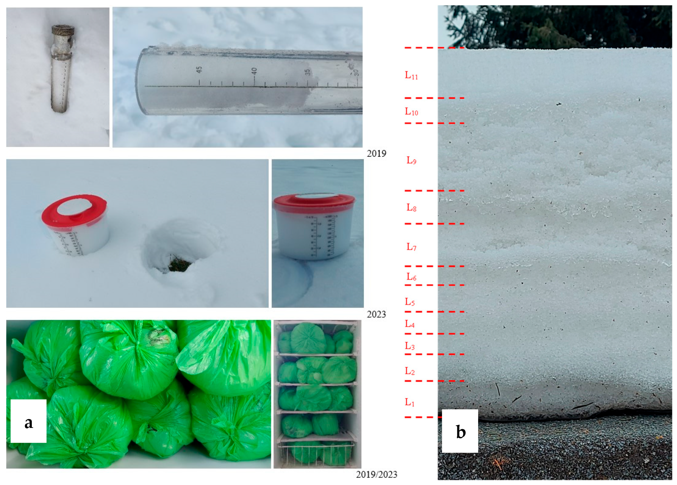 Sustainability 17 03141 g004