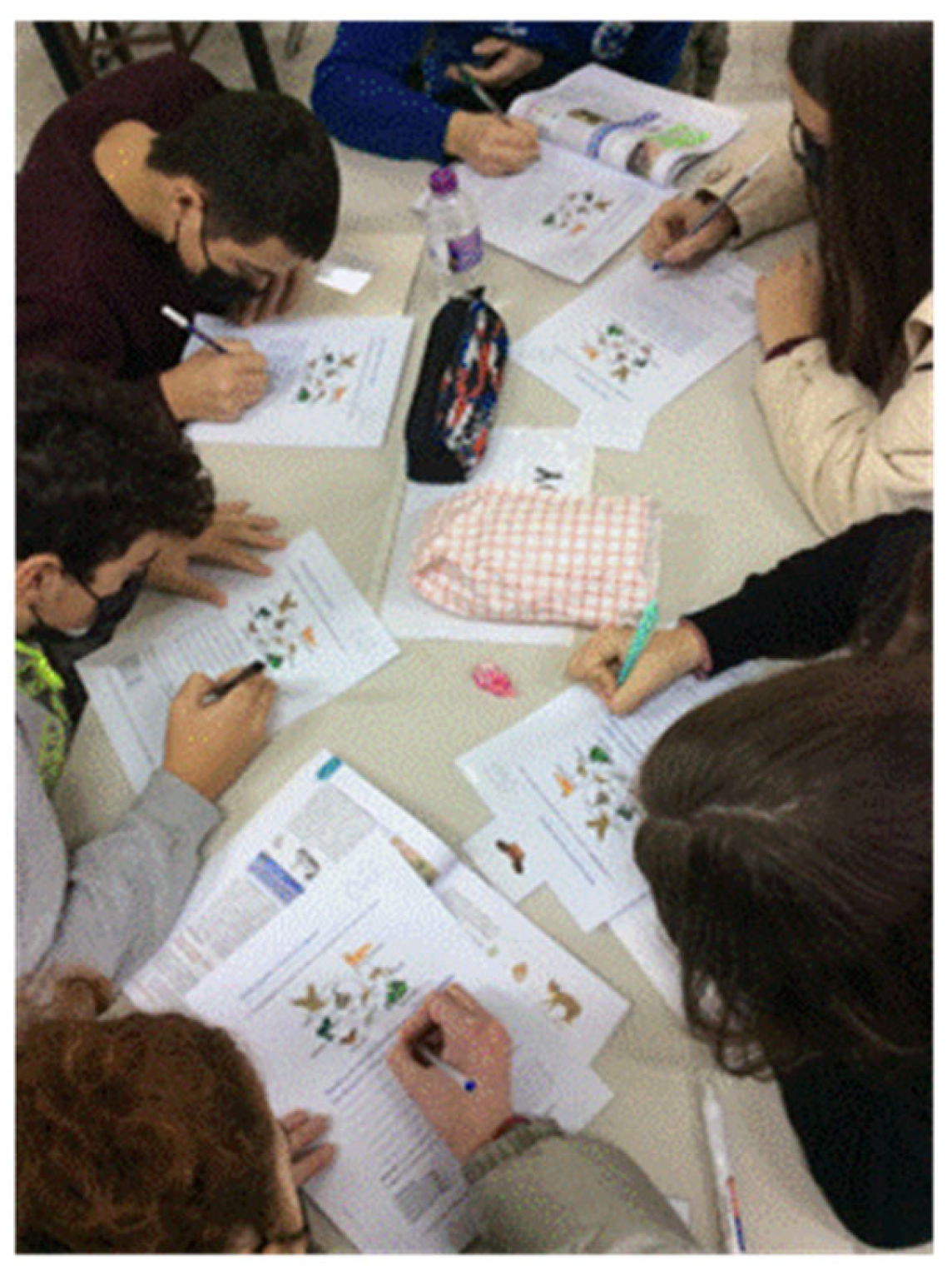 Sustainability 17 03212 g004