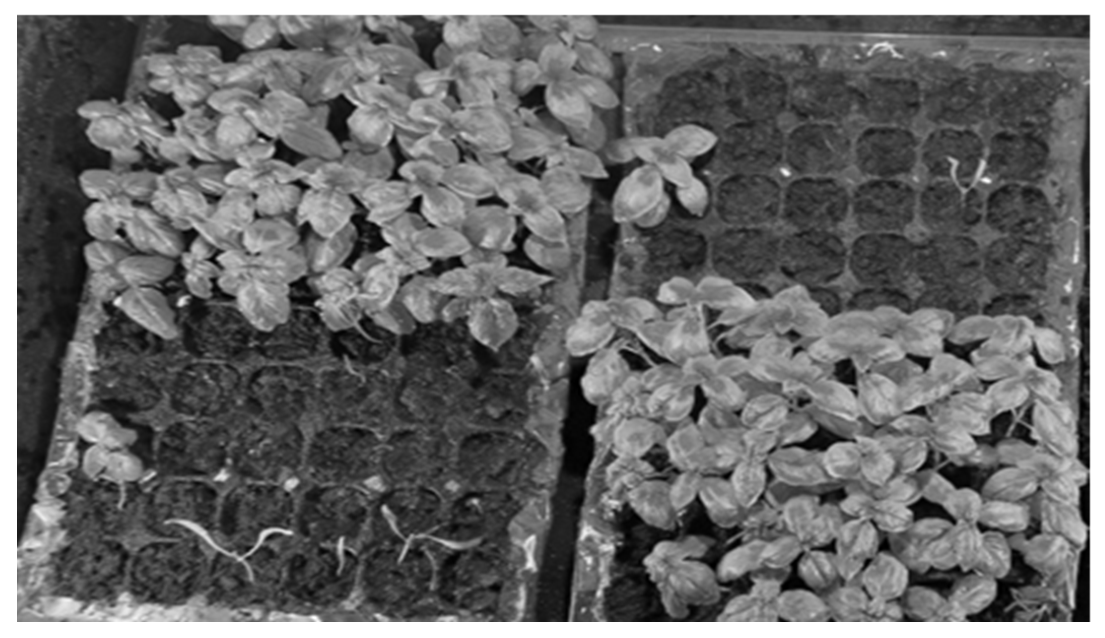 Sustainability 17 03268 g005