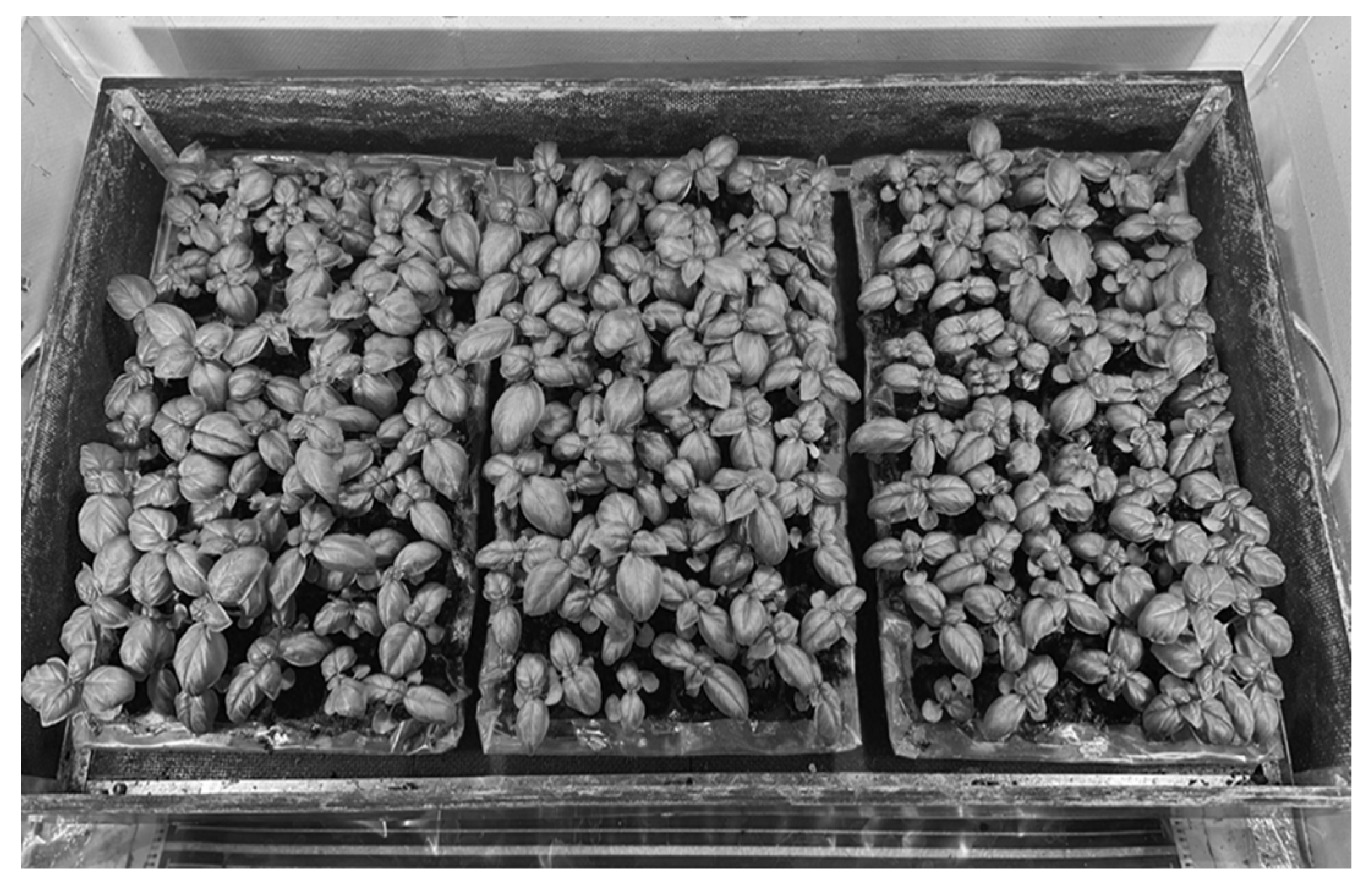 Sustainability 17 03268 g007