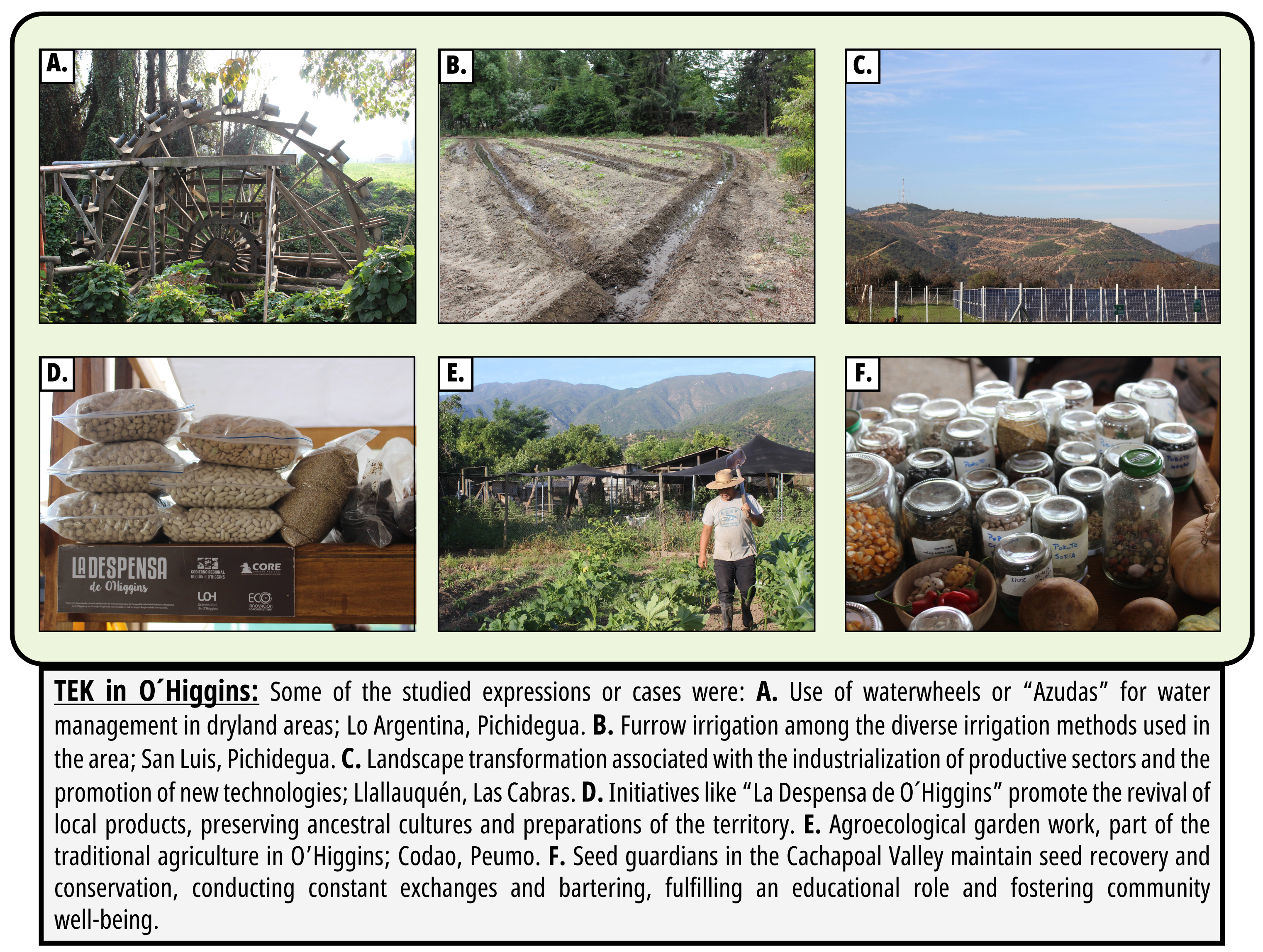 Sustainability 17 03653 g004