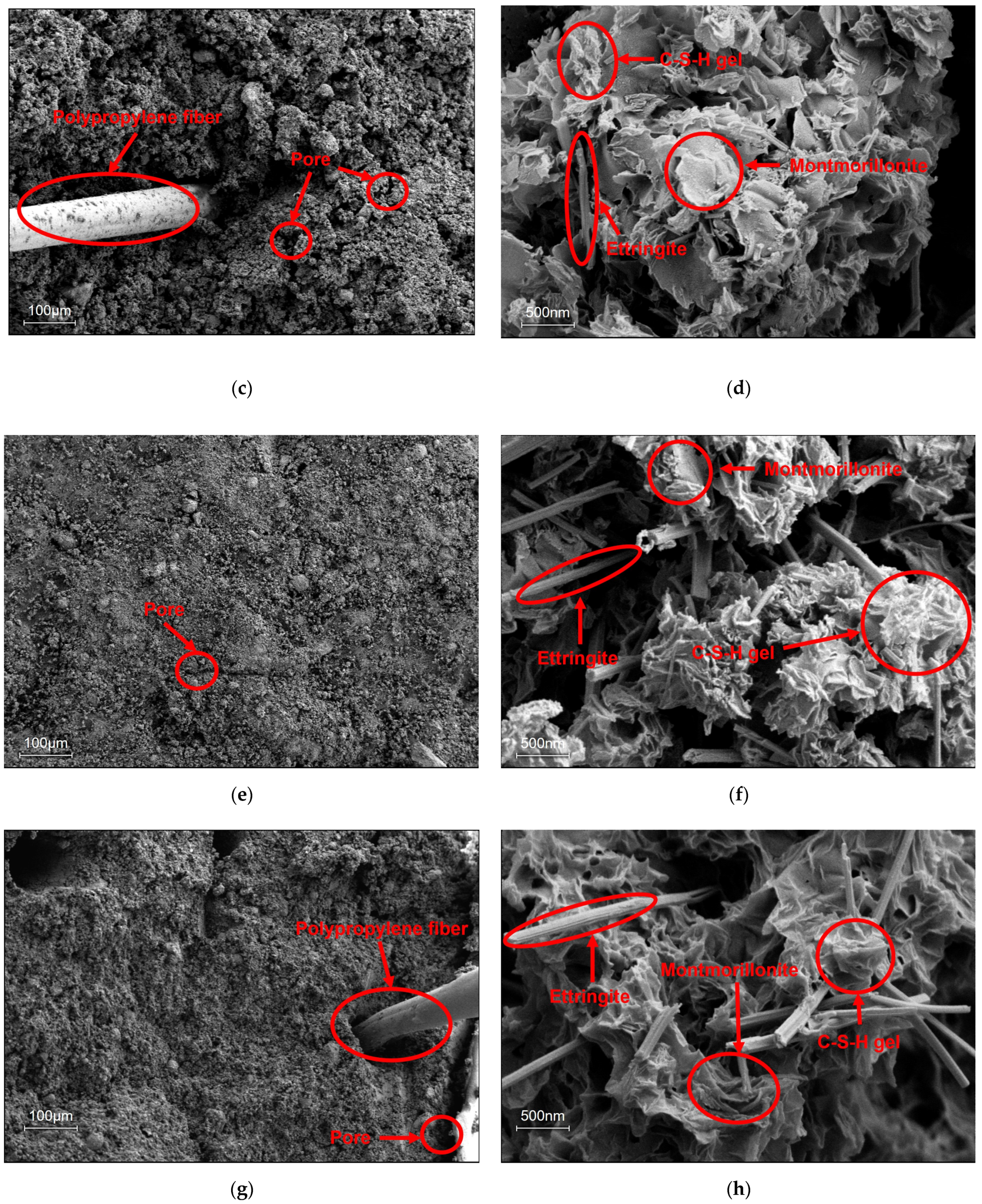 Sustainability 17 03656 g010b
