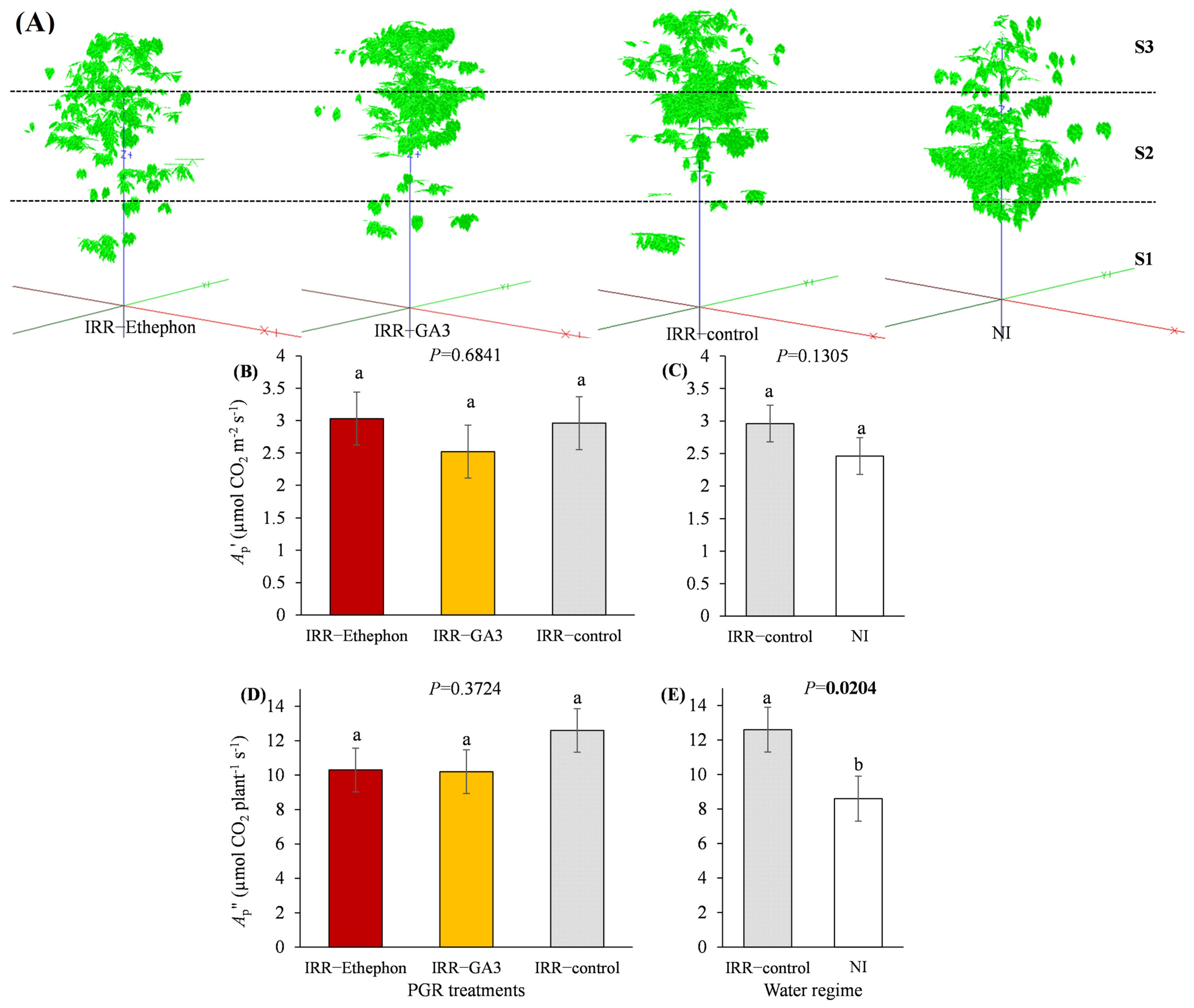 Sustainability 17 03803 g004