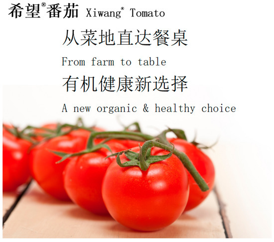 Sustainability 17 03961 g0a2