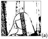 Sustainability 17 04047 i011