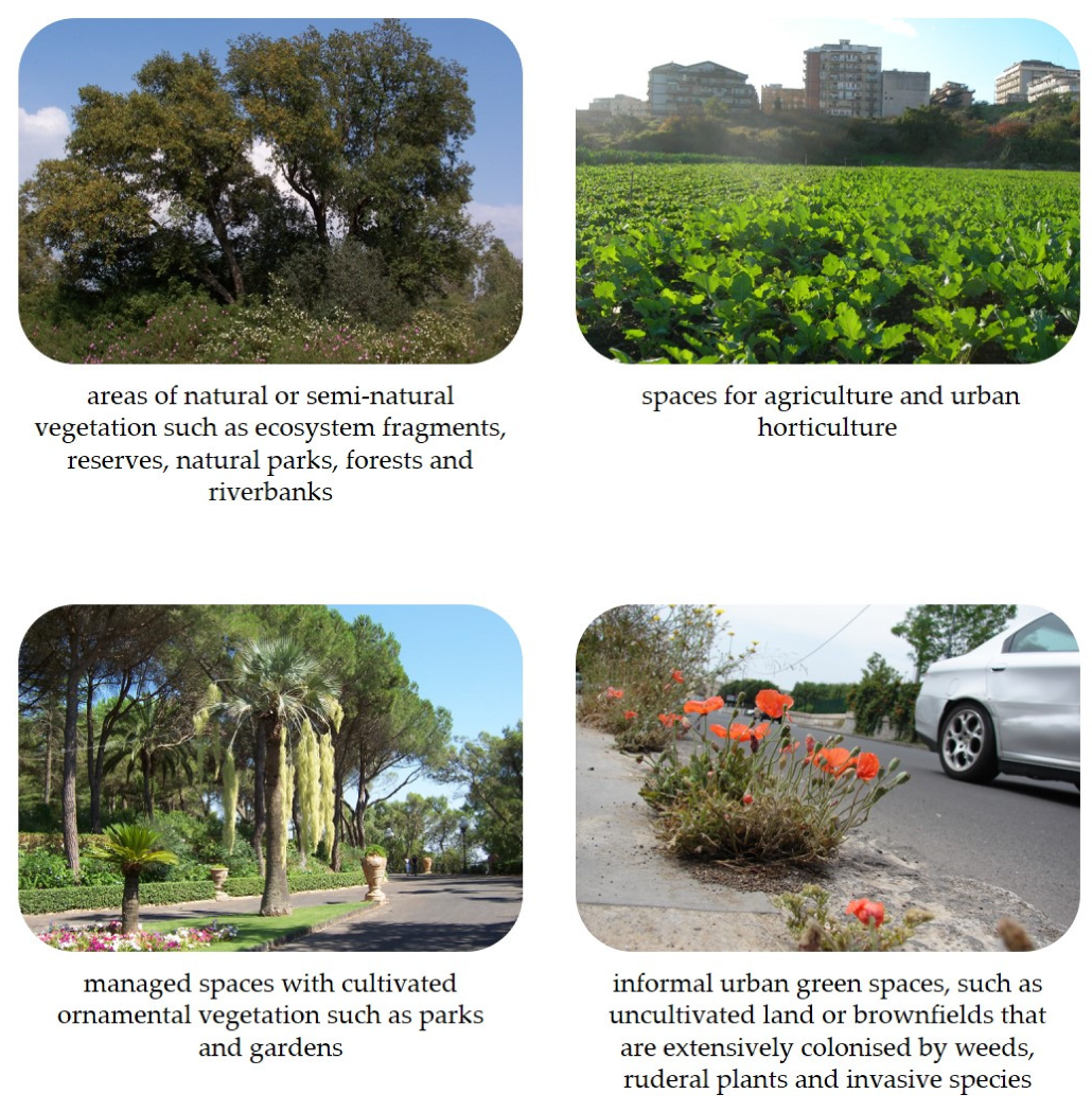 Sustainability 17 04061 g003