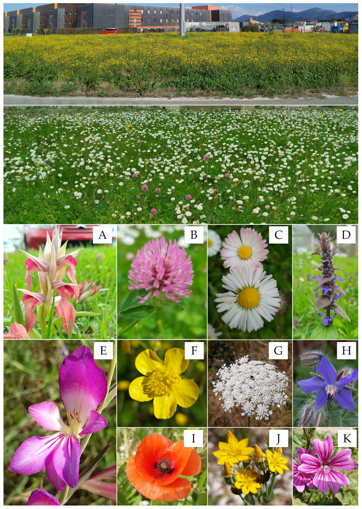 Sustainability 17 04061 g004