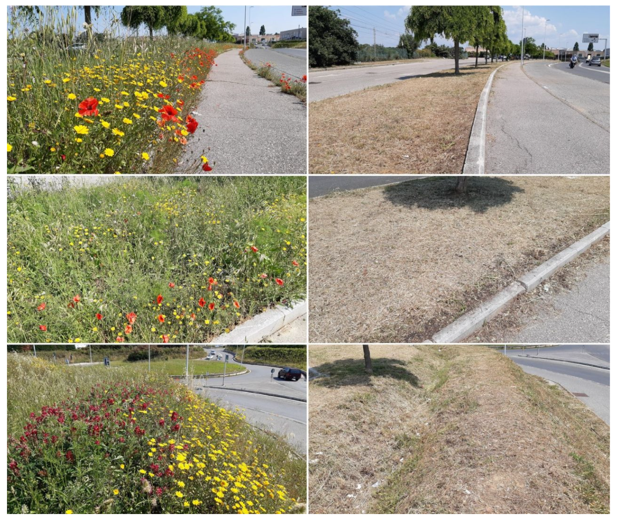 Sustainability 17 04061 g005