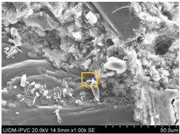 Sustainability 17 04142 i001