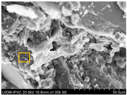 Sustainability 17 04142 i003