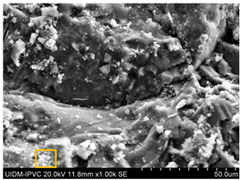 Sustainability 17 04142 i013