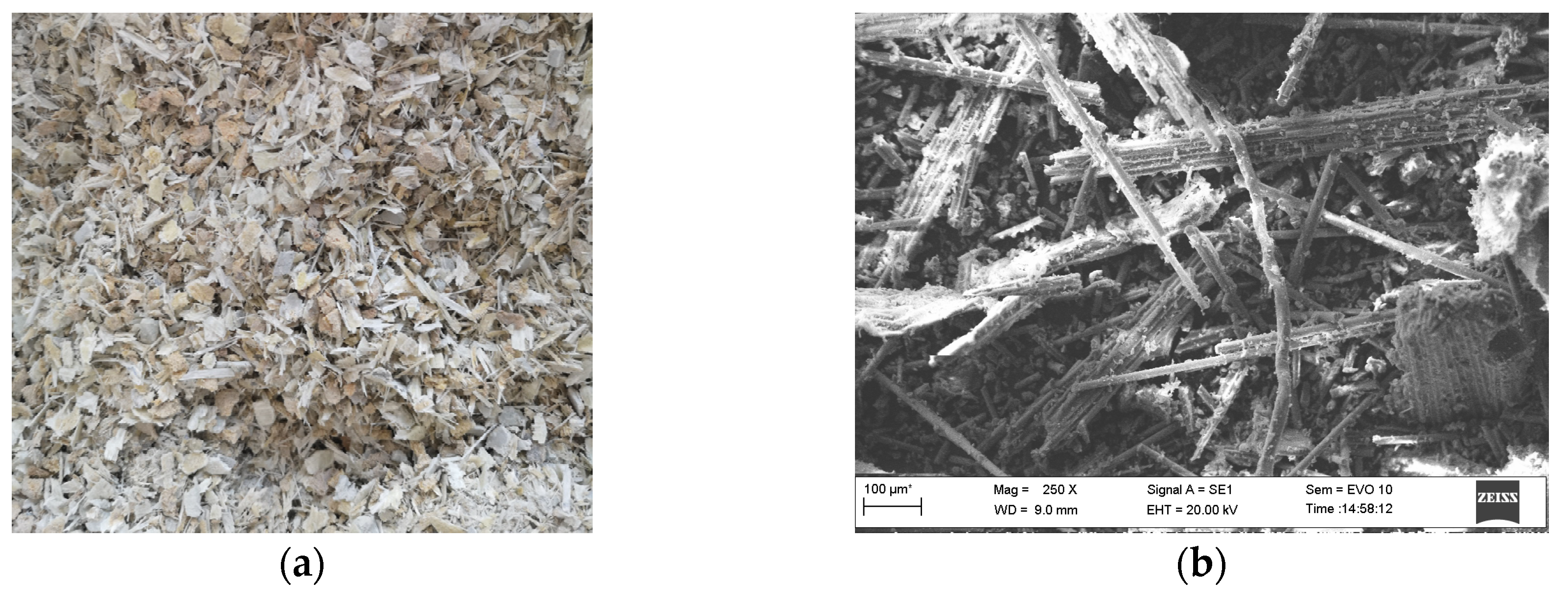 Sustainability 17 04202 g003